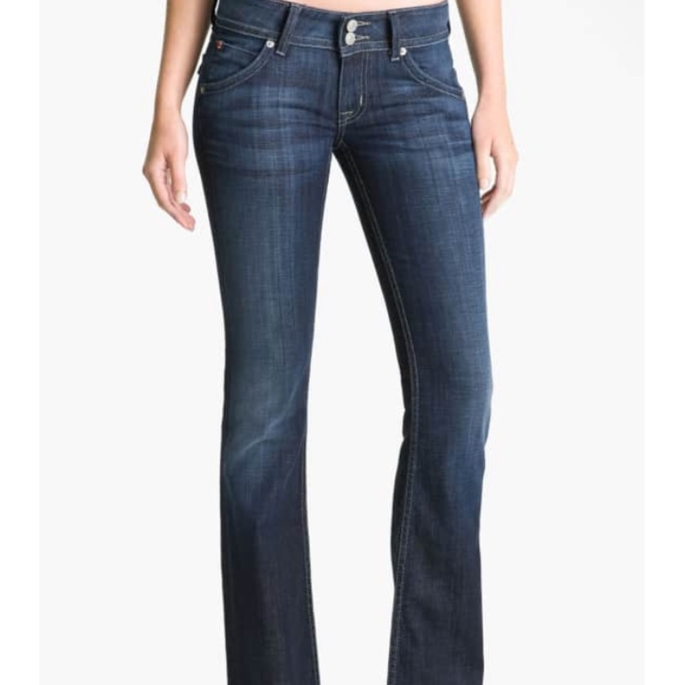 Hudson jeans petite